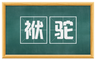 袱驼