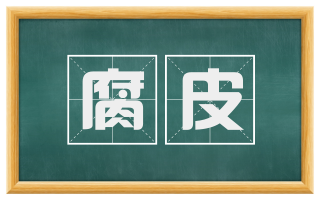 腐皮