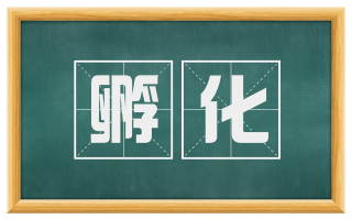 孵化