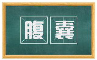 腹囊