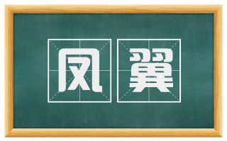 凤翼