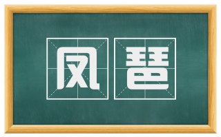 凤琶