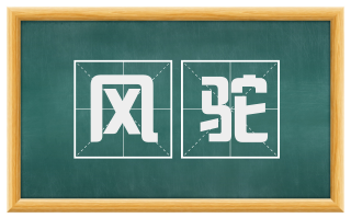 风驼