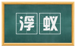 浮蚁