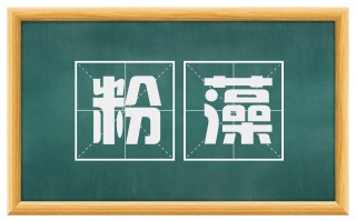 粉藻