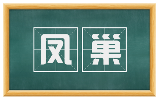 凤巢