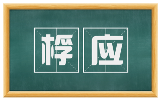 桴应