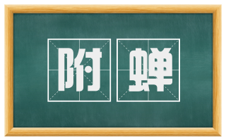 附蝉