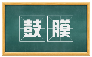 鼓膜