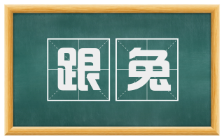 跟兔