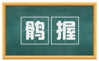 鹘握