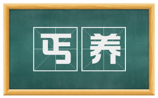 丐养