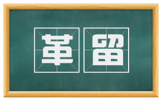革留