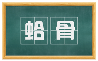 蛤骨