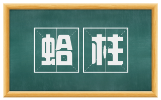 蛤柱