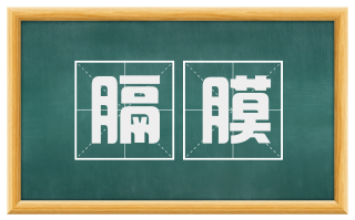 膈膜