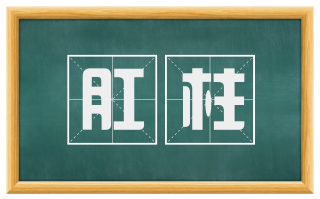 肛柱