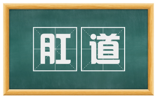 肛道