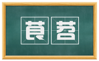 茛苕