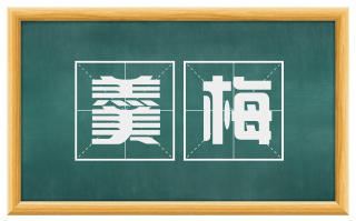 羹梅
