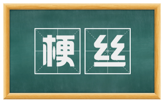 梗丝