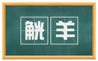 觥羊