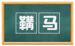 鞲马