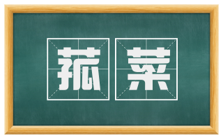菰菜