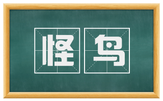 怪鸟