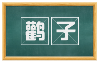 鹳子