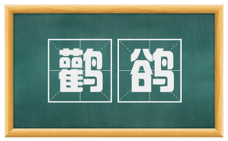 鹳鹆