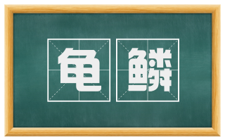 龟鳞