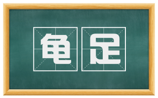 龟足
