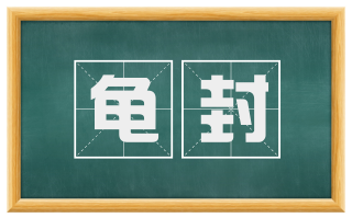 龟封