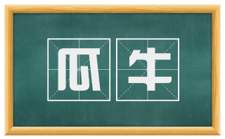 瓜牛
