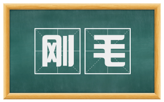 刚毛
