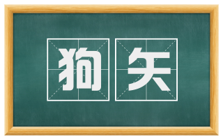 狗矢