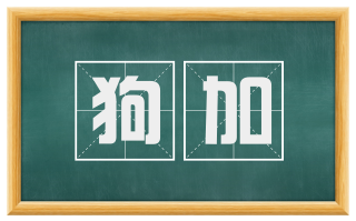 狗加