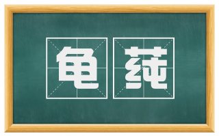 龟莼