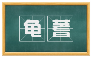 龟蓍