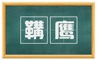 鞲鹰