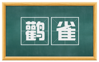 鹳雀