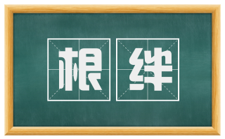 根绊