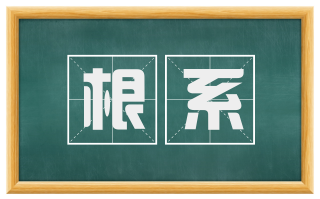 根系