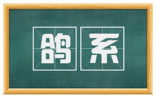 鸽系