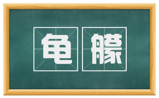 龟艨