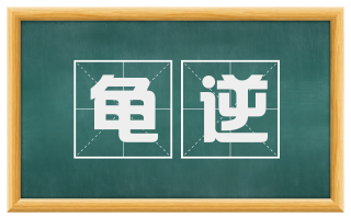 龟逆