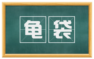 龟袋