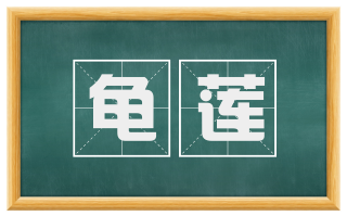 龟莲