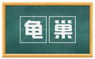 龟巢